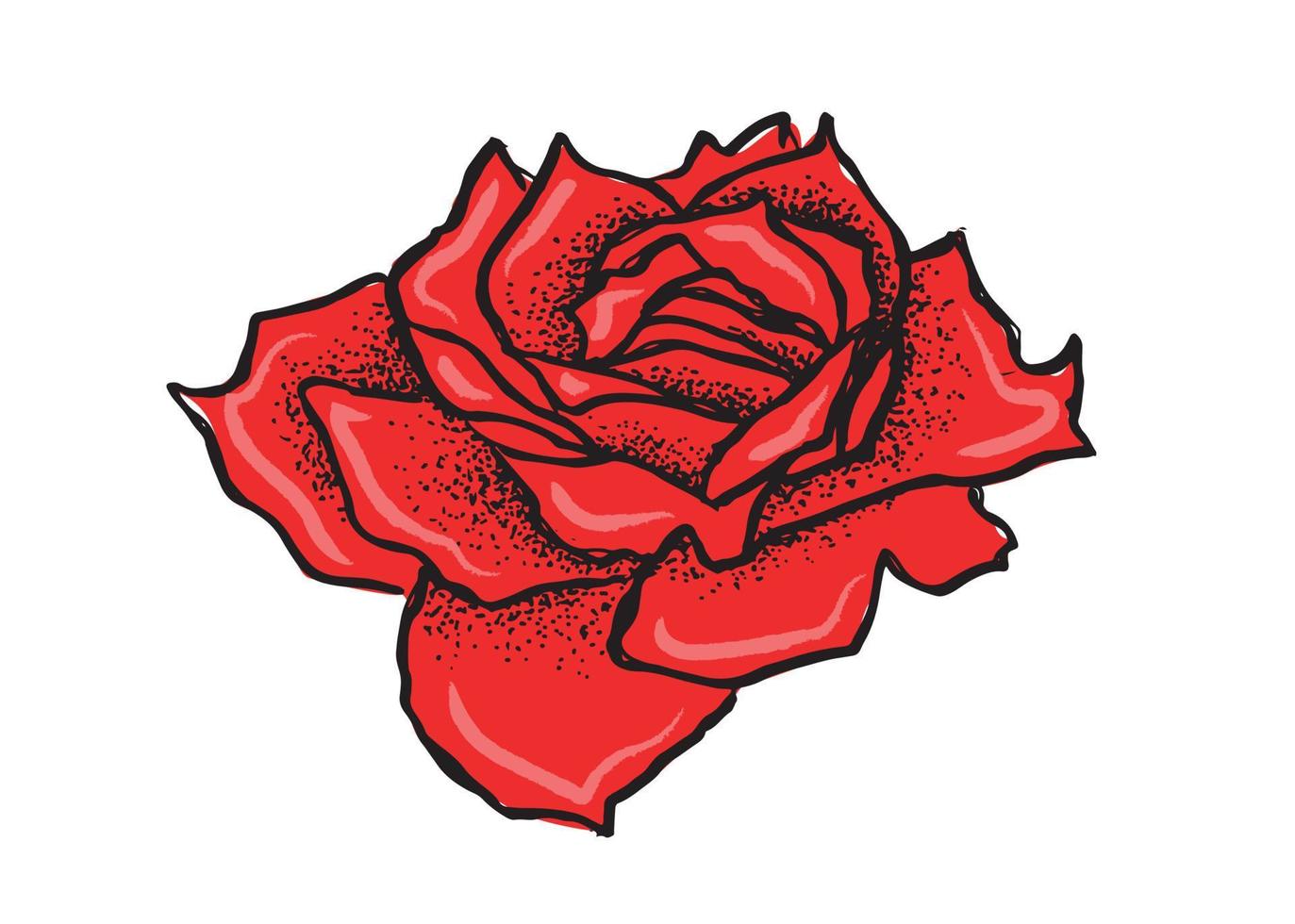 Rose flower, hand drawn illustration, vector. vector