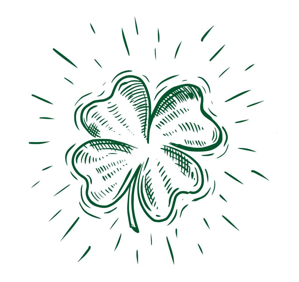 Clover, St. Patrick's Day. Hand drawn illustrations. Vector. vector