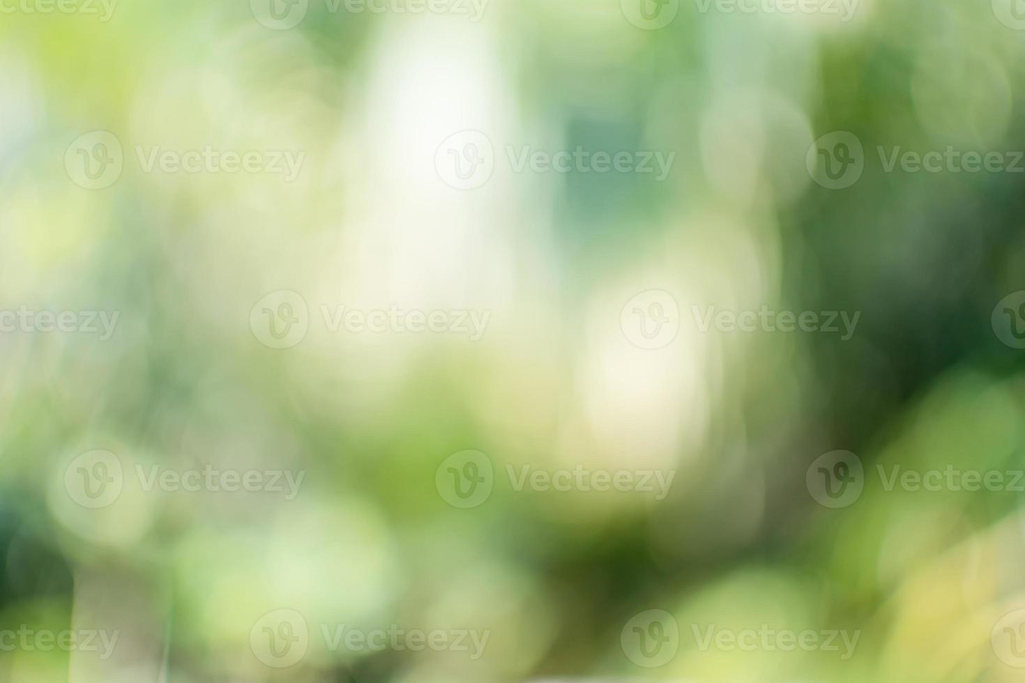 The concept for design blurred and defocused effect season. Abstract bokeh green color for the nature background. Daylight in outdoor and The air is so fresh photo