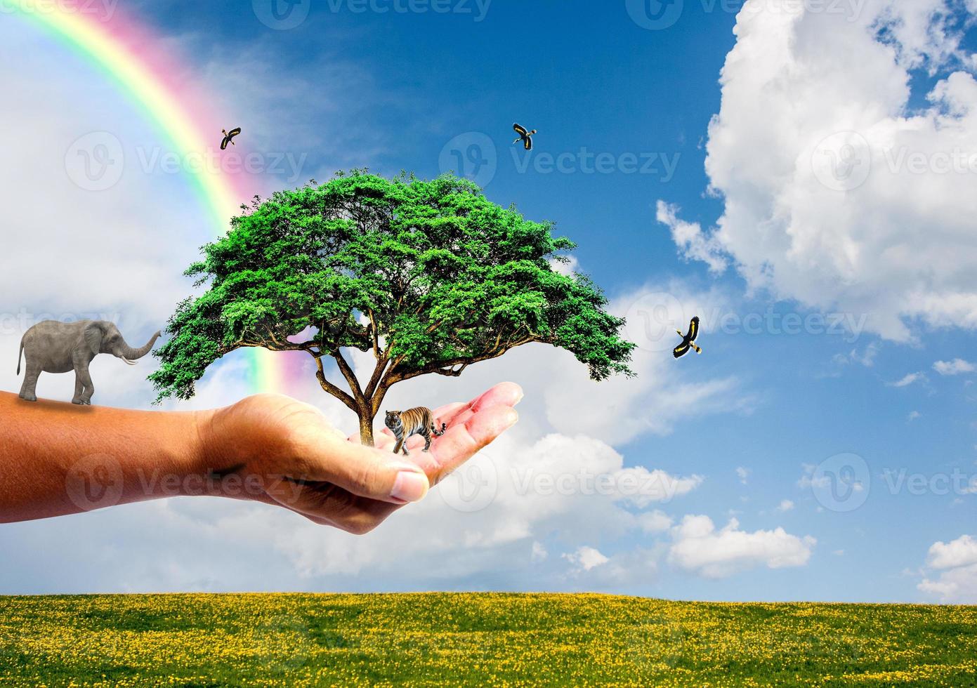 The concept of saving the world, protecting the environment. tree in hand for change photo