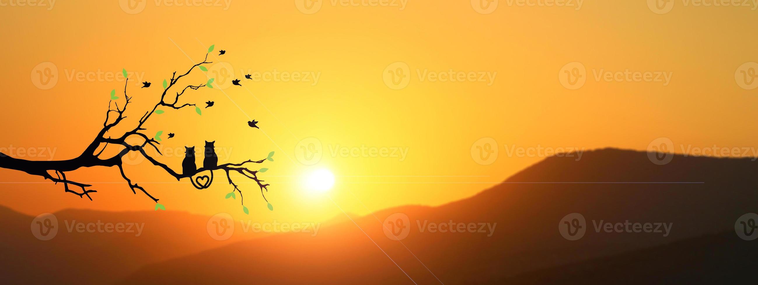Silhouette of a cat couple on a branch, beautiful view. concept of love, couple, happiness photo