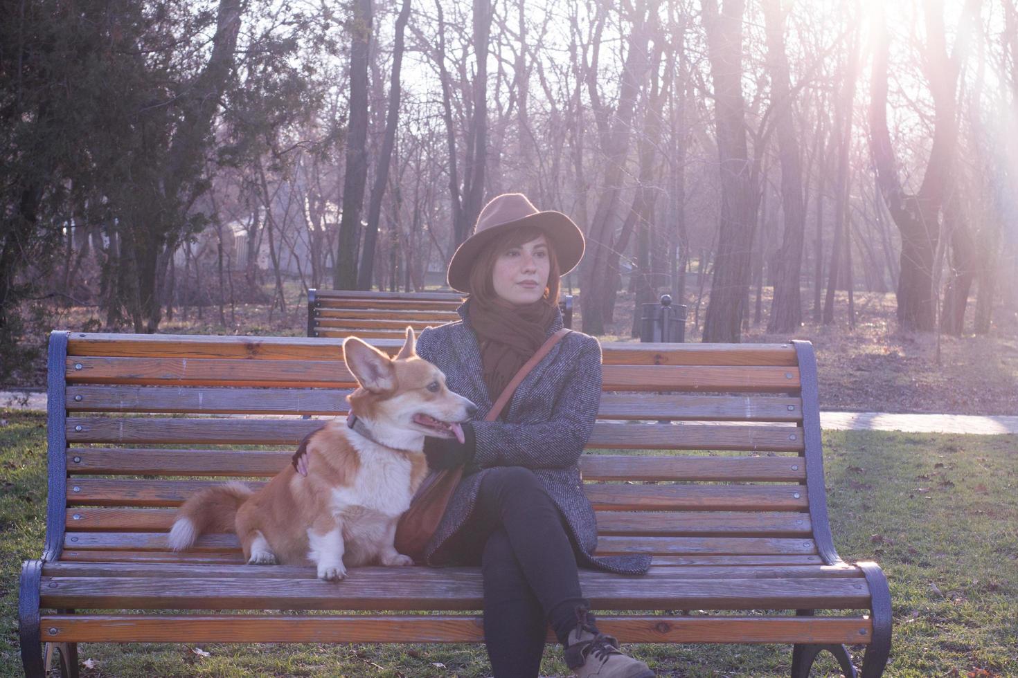 young woman in hat in park walk with cute corgi dog, sunny autumn day photo