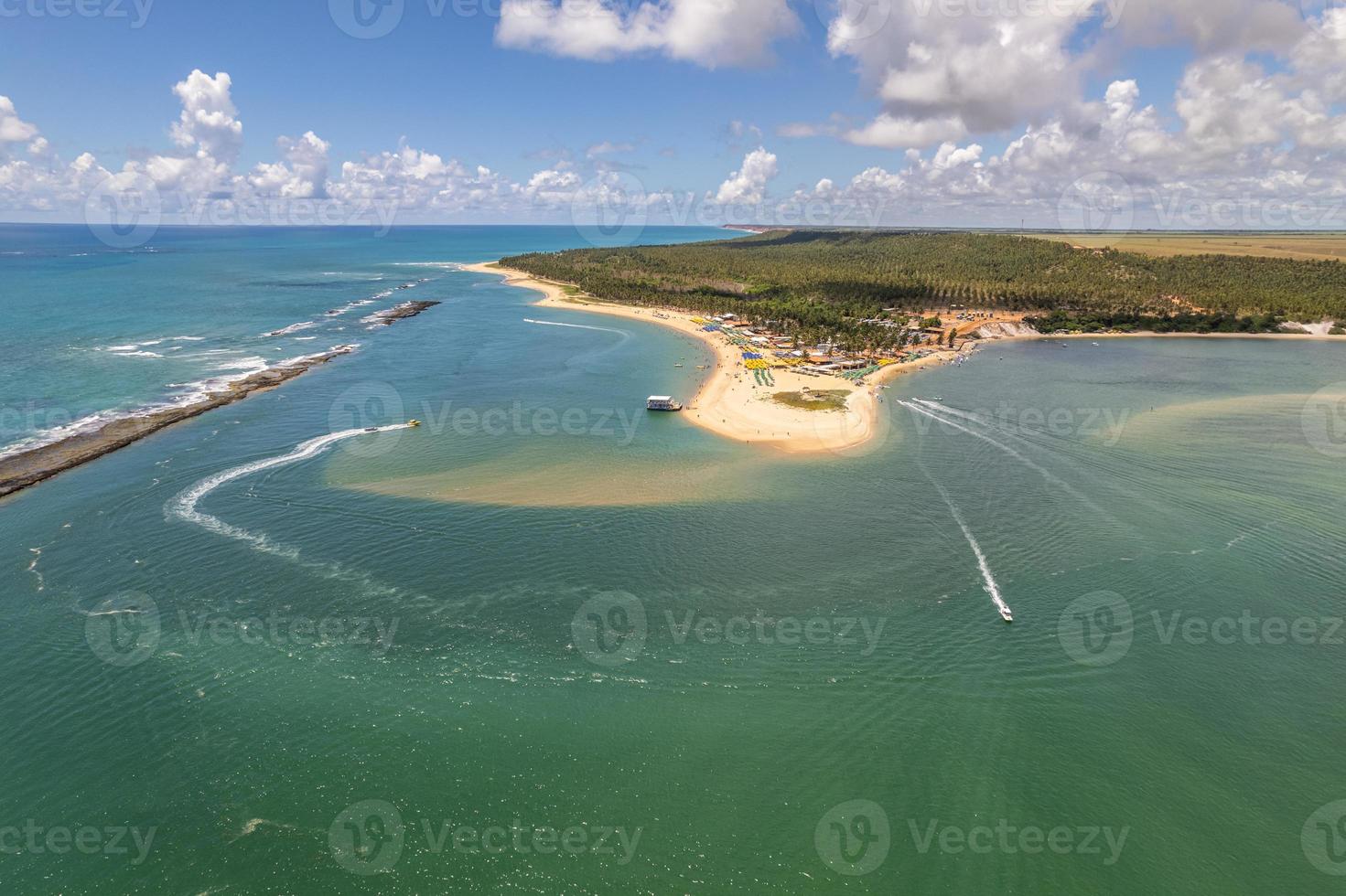 Aerial view of Gunga Beach or Praia do Gunga, with its clear waters and coconut trees, Maceio, Alagoas. Northeast region of Brazil. photo