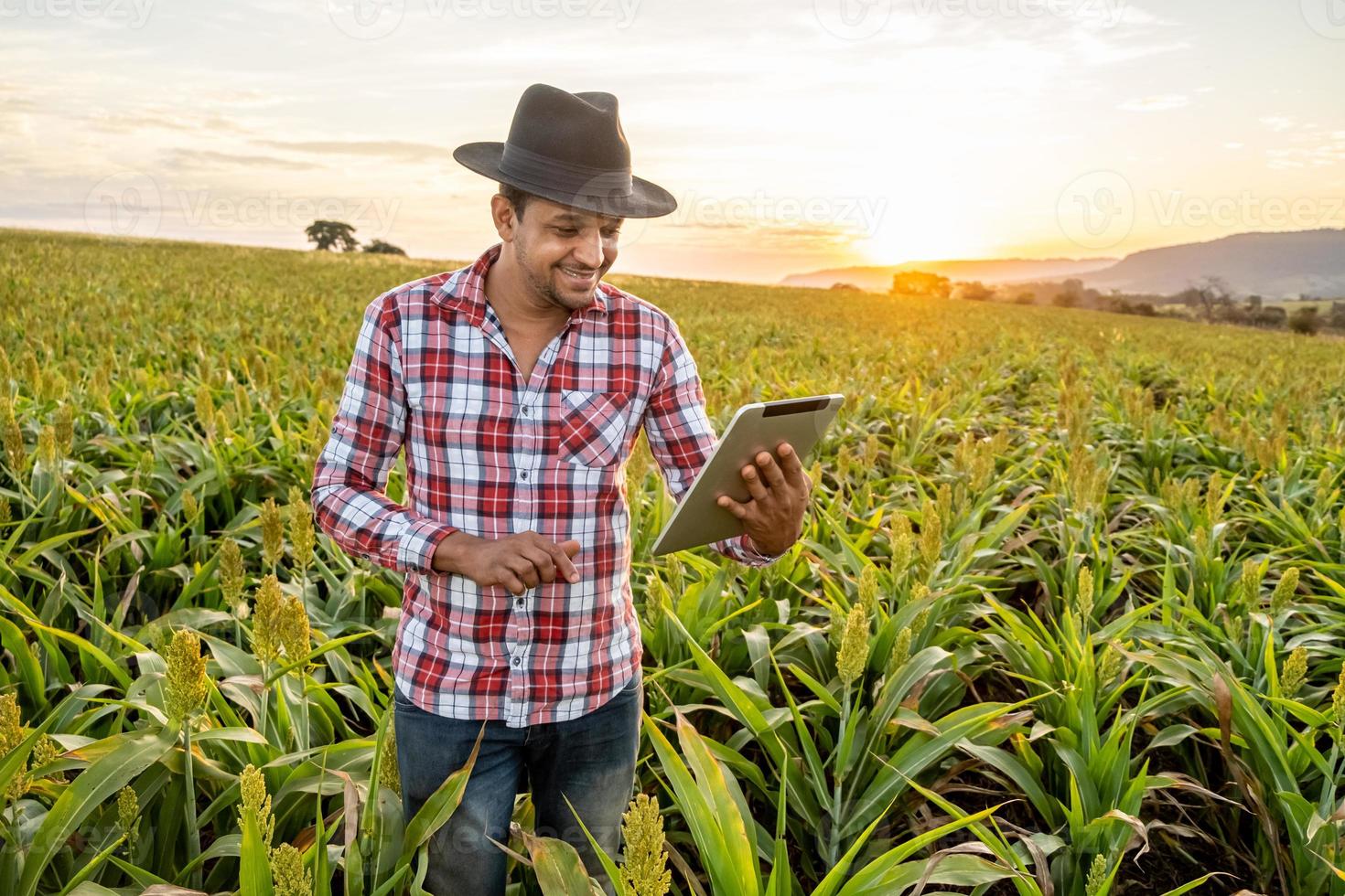 Agronomist holds tablet touch pad computer in the corn field and examining crops before harvesting. Agribusiness concept. Brazilian farm. photo