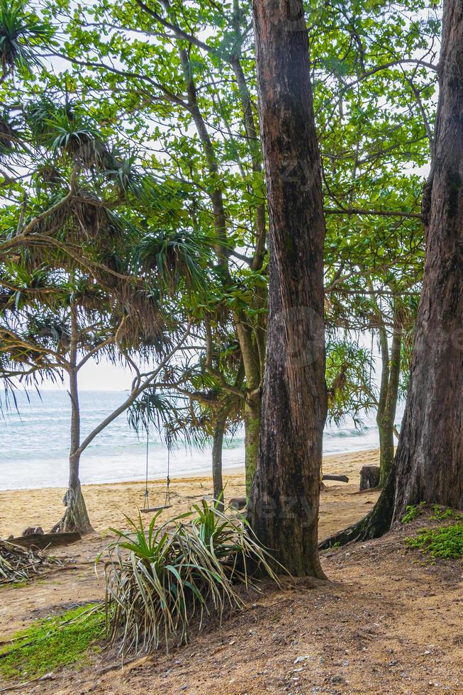 Nai Thon Naithon Beach view behind trees Phuket Thailand. photo