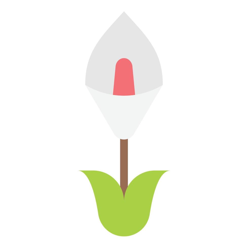 Lily Flower icon flat color vector illustration
