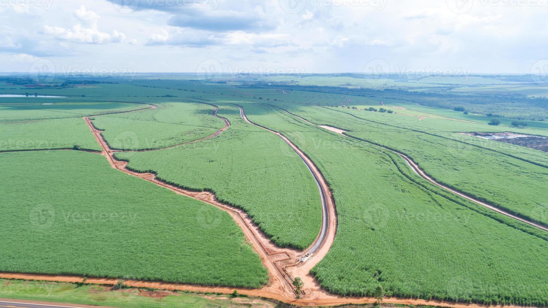 Sugar cane hasvest plantation aerial. Pipelines for the transport of renewable fuel. Aerial top view of a agriculture fields. Sugar Cane farm. Sugar cane fields view from the sky. photo