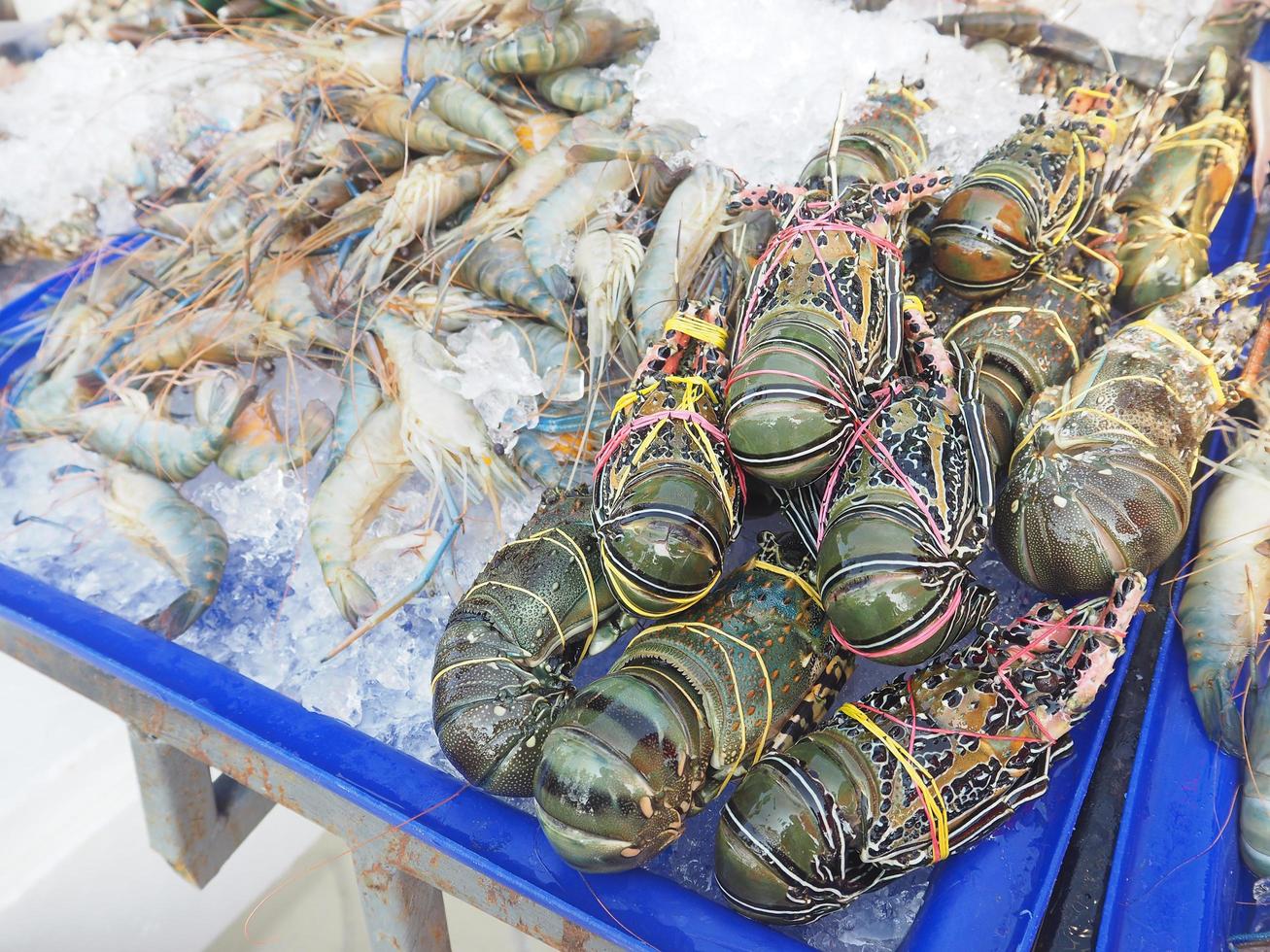 Lobsters for sale in the fresh market 7466511 Stock Photo at Vecteezy