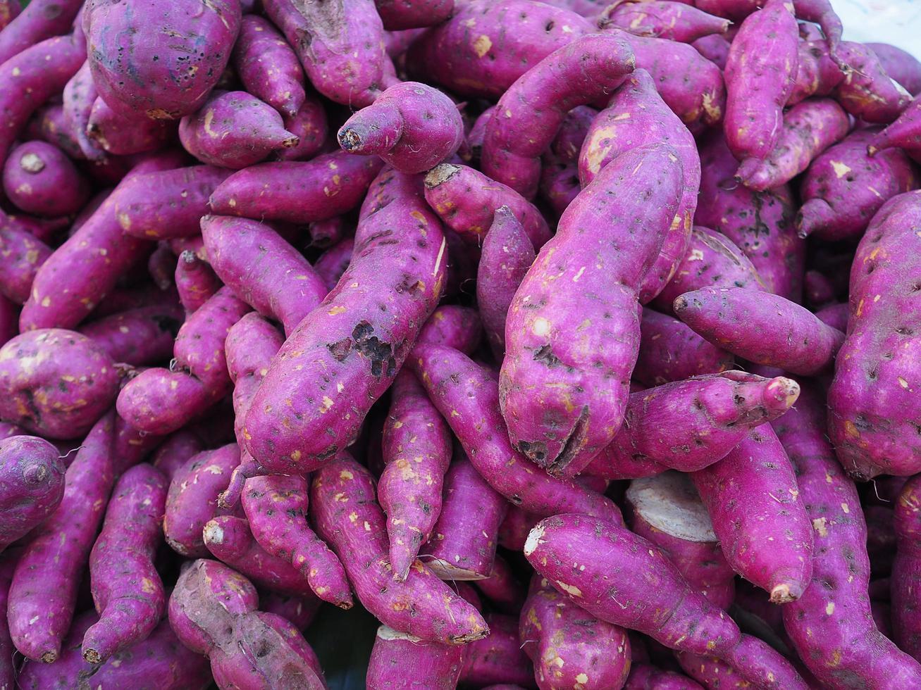 Pile of fresh purple yams organic for sale in market photo