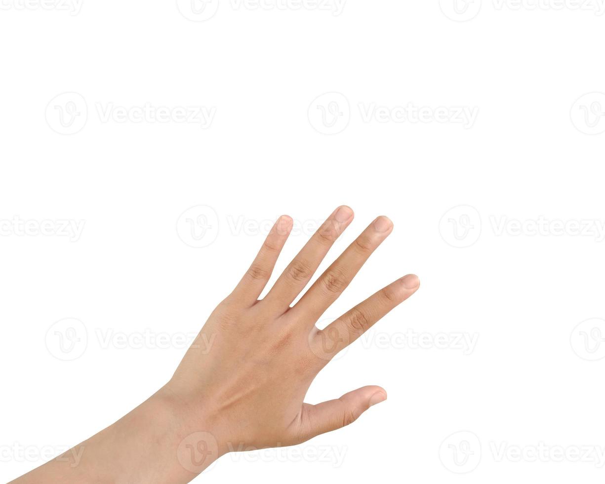 Close up Asian female hand show Number Five finger, palm hand in back, sign arm and hand isolated on a white background copy space symbol language photo