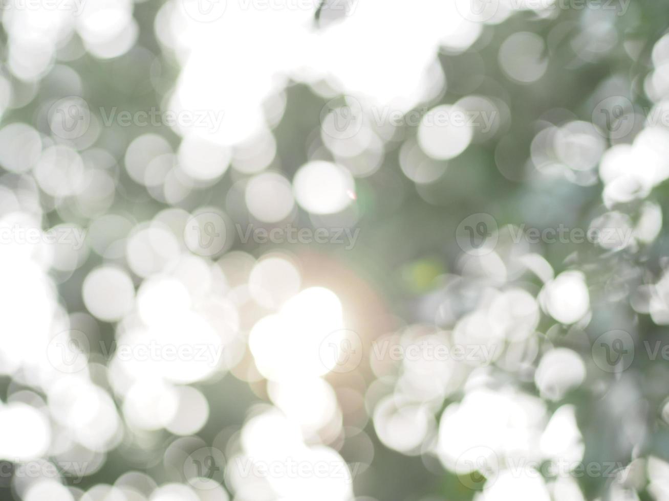 Abstract natural bokeh sunlight background tree stock photo