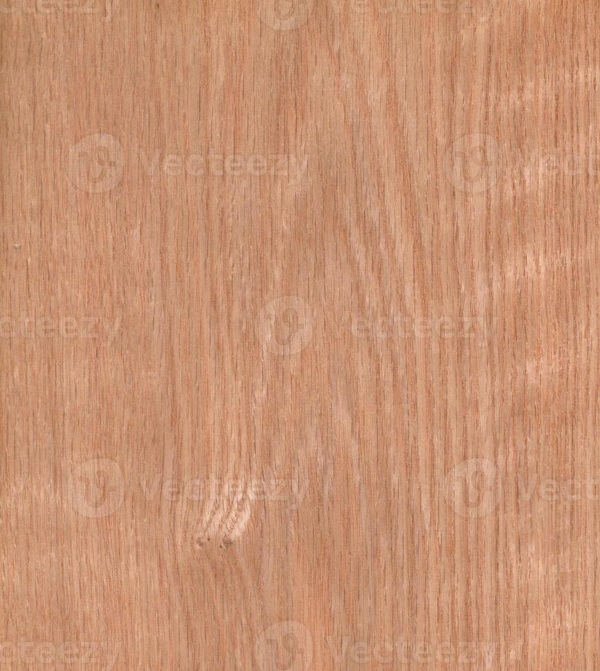 red oak, Brown color wood wall material burr surface texture background Pattern Abstract wooden, top view scene photo