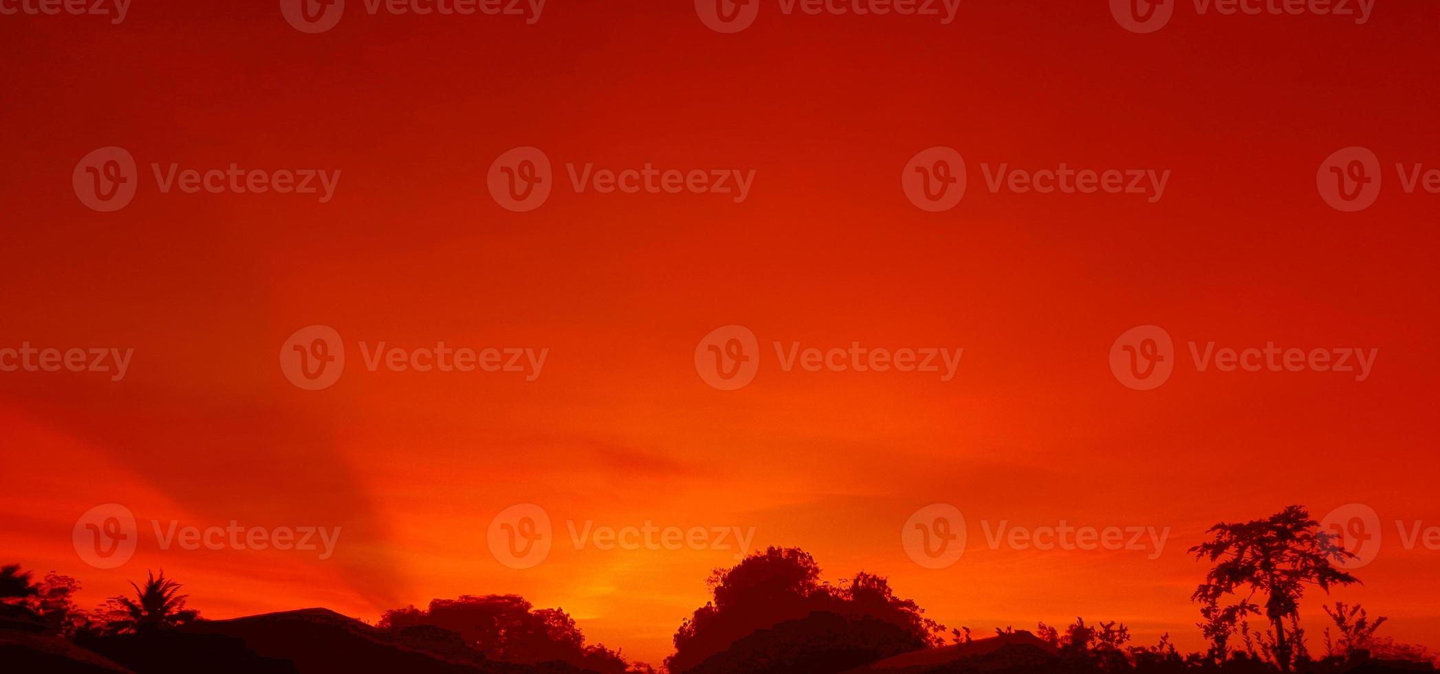 sunset, orange sky bush tree Silhouette black background nature photo