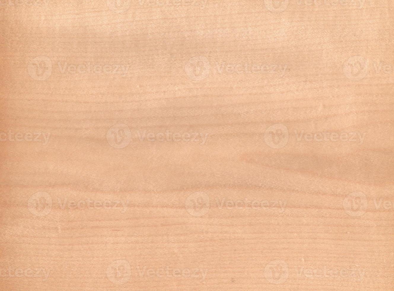 maple, Brown color wood wall material burr surface texture background Pattern Abstract wooden, top view scene photo