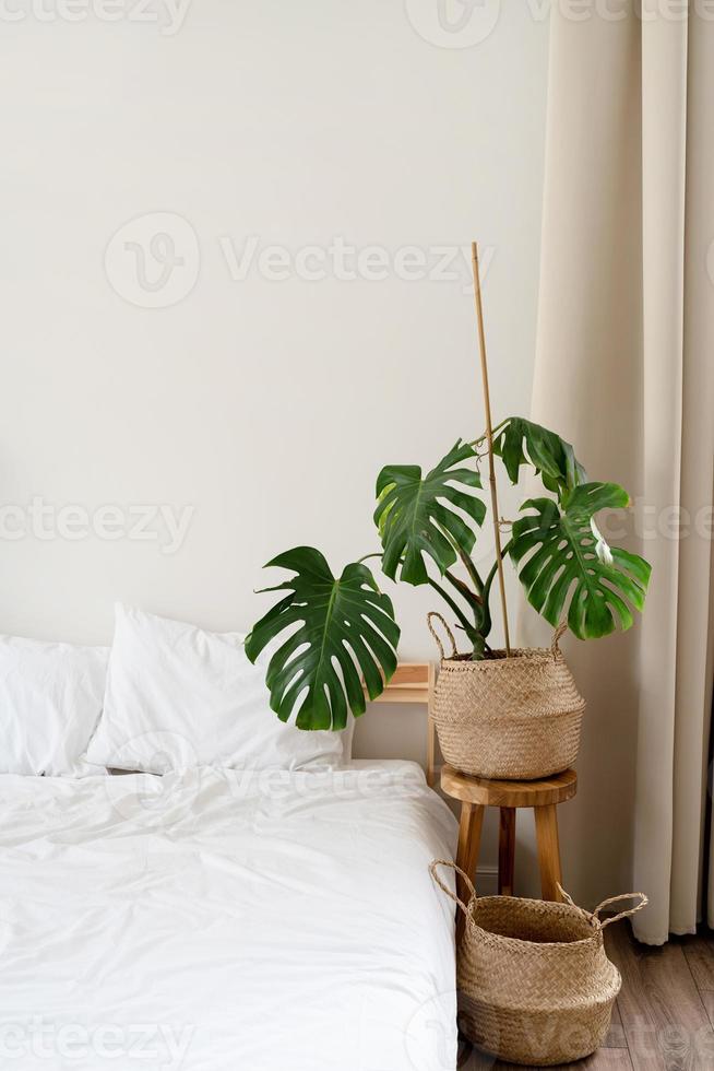 Space at home with bed, monstera and laundry baskets photo