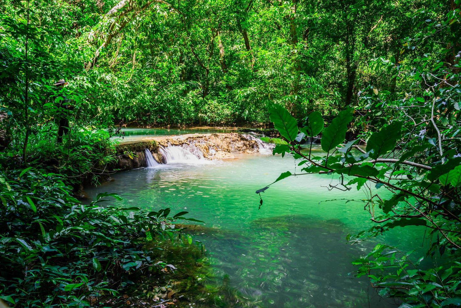 Cascada de paisaje que bok khorani. lago del parque nacional thanbok khoranee, sendero natural, bosque, bosque de manglares, naturaleza de viaje, viaje a tailandia. estudio de la naturaleza. atracciones foto