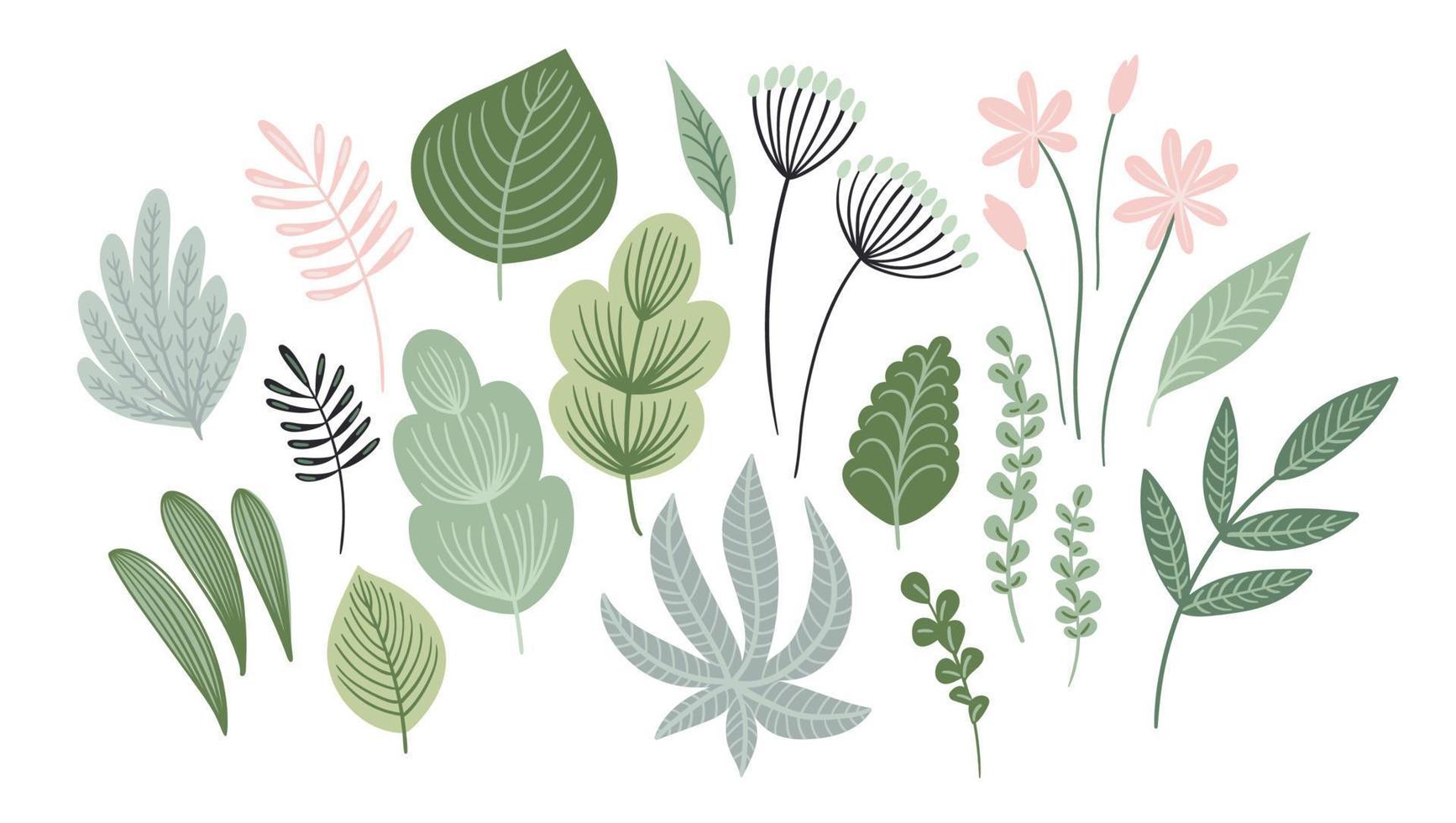 Vector set of abstract leaves, flowers and grass. Clipart, isolated elements.