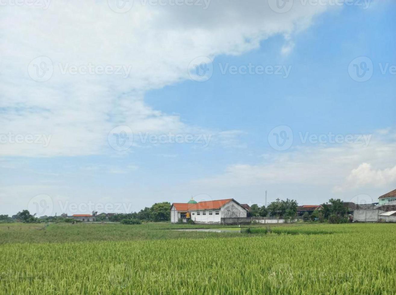 Greenery Nature Garden Ecological landscape with farm, flowers, sun, waterfall, gardening of earth day summer background photography natural images photo