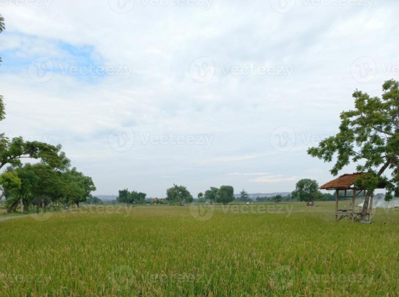 Greenery Nature Garden Ecological landscape with farm, flowers, sun, waterfall, gardening of earth day summer background photography natural images photo