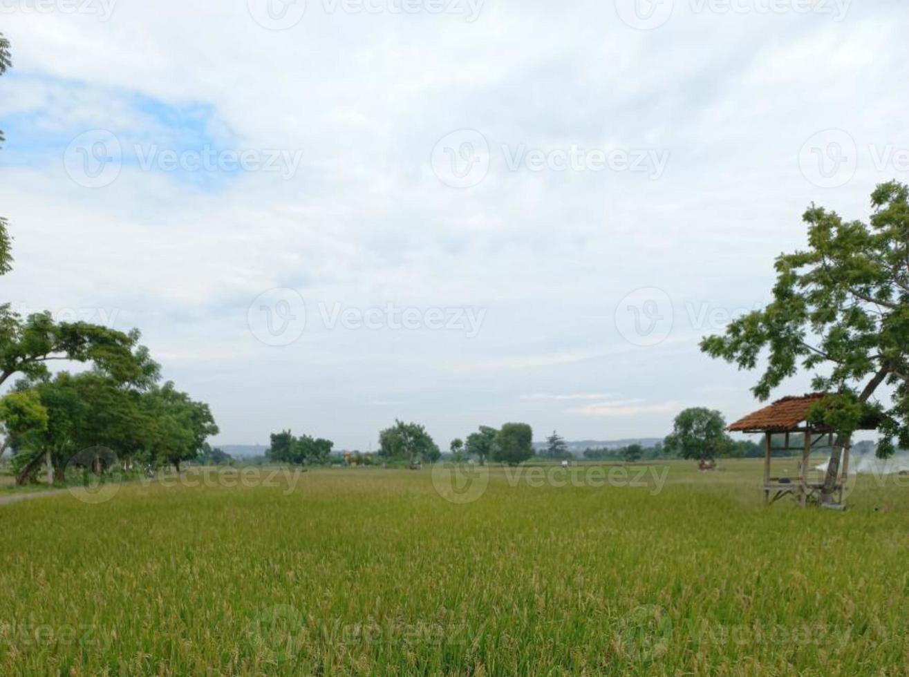 vegetación naturaleza jardín paisaje ecológico con granja, flores, sol, cascada, jardinería del día de la tierra fotografía de fondo de verano imágenes naturales foto