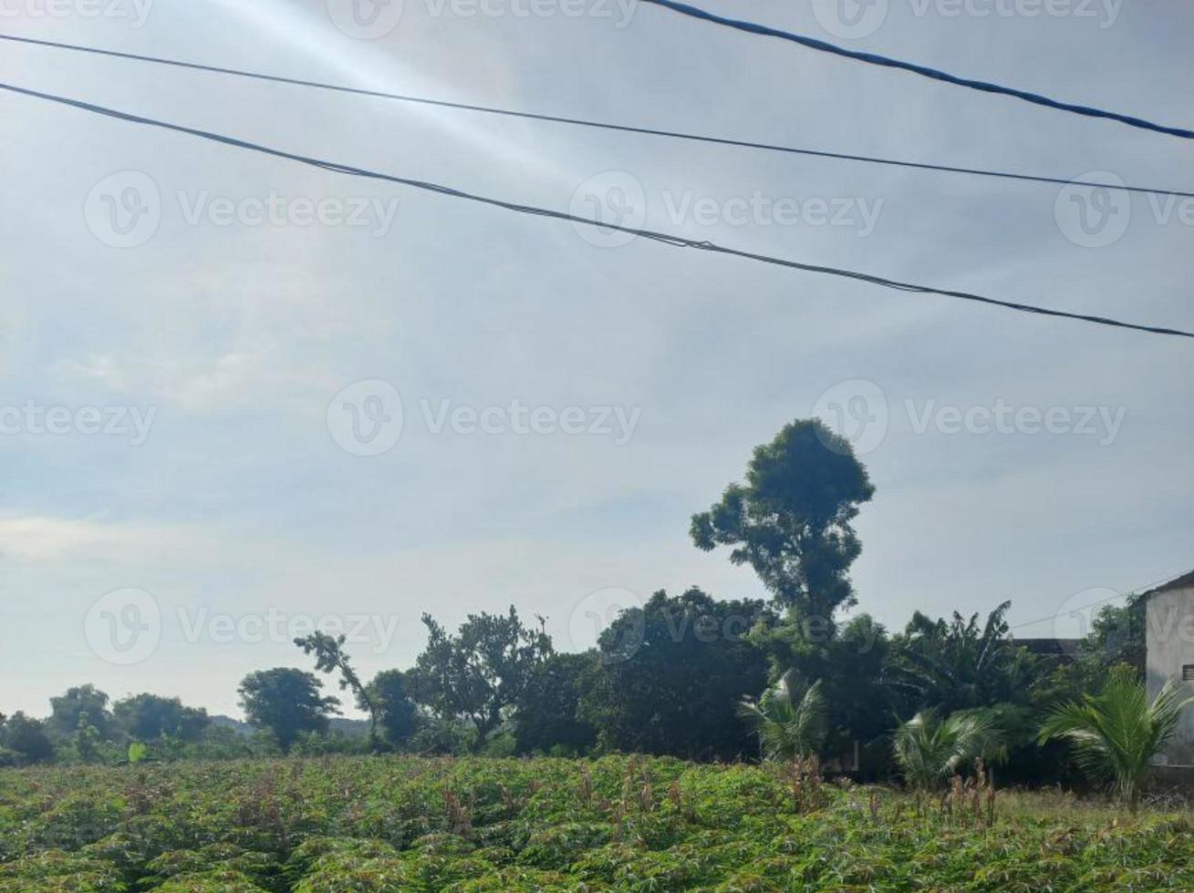 vegetación naturaleza jardín paisaje ecológico con granja, flores, sol, cascada, jardinería del día de la tierra fotografía de fondo de verano imágenes naturales foto