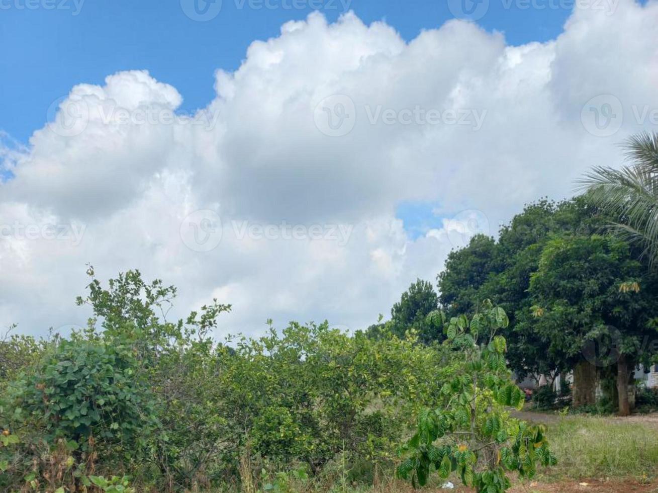 Greenery Nature Garden Ecological landscape with farm, flowers, sun, waterfall, gardening of earth day summer background photography natural images photo