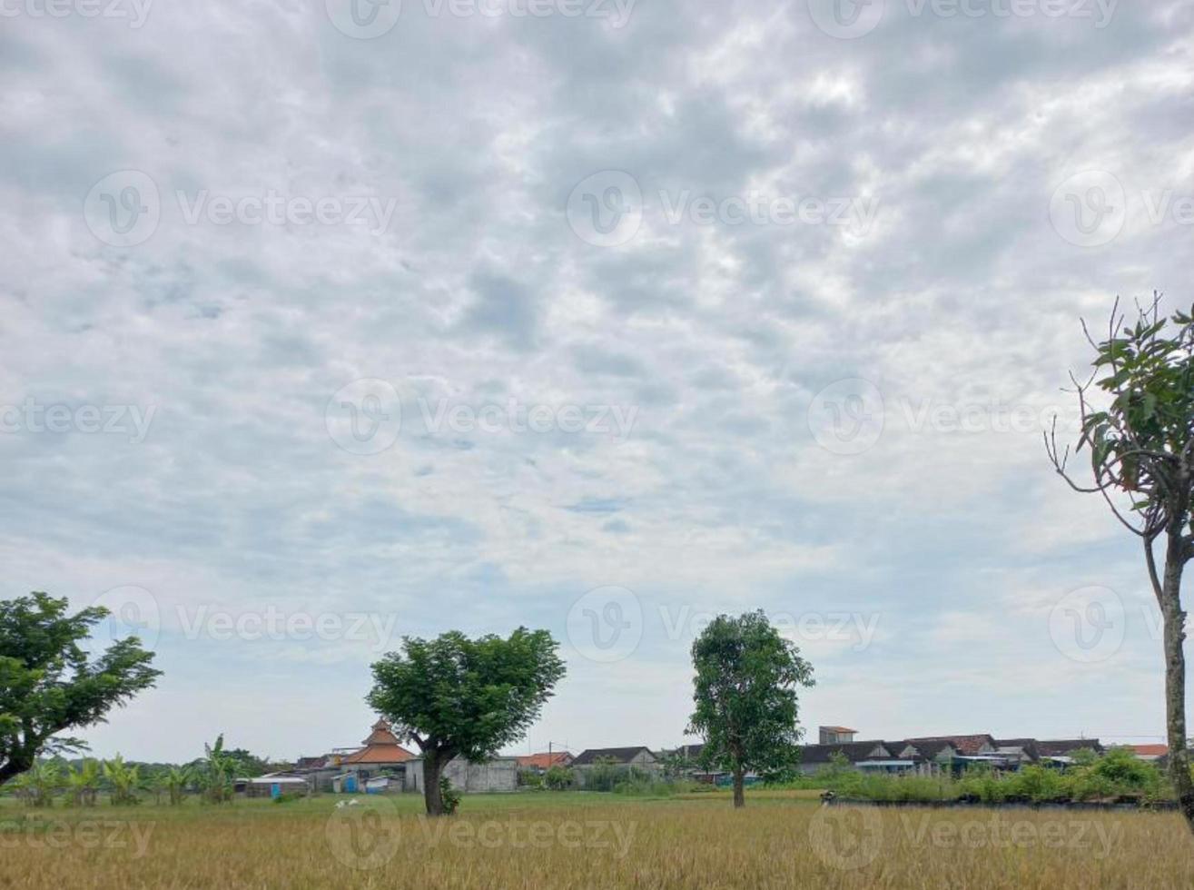 Greenery Nature Garden Ecological landscape with farm, flowers, sun, waterfall, gardening of earth day summer background photography natural images photo