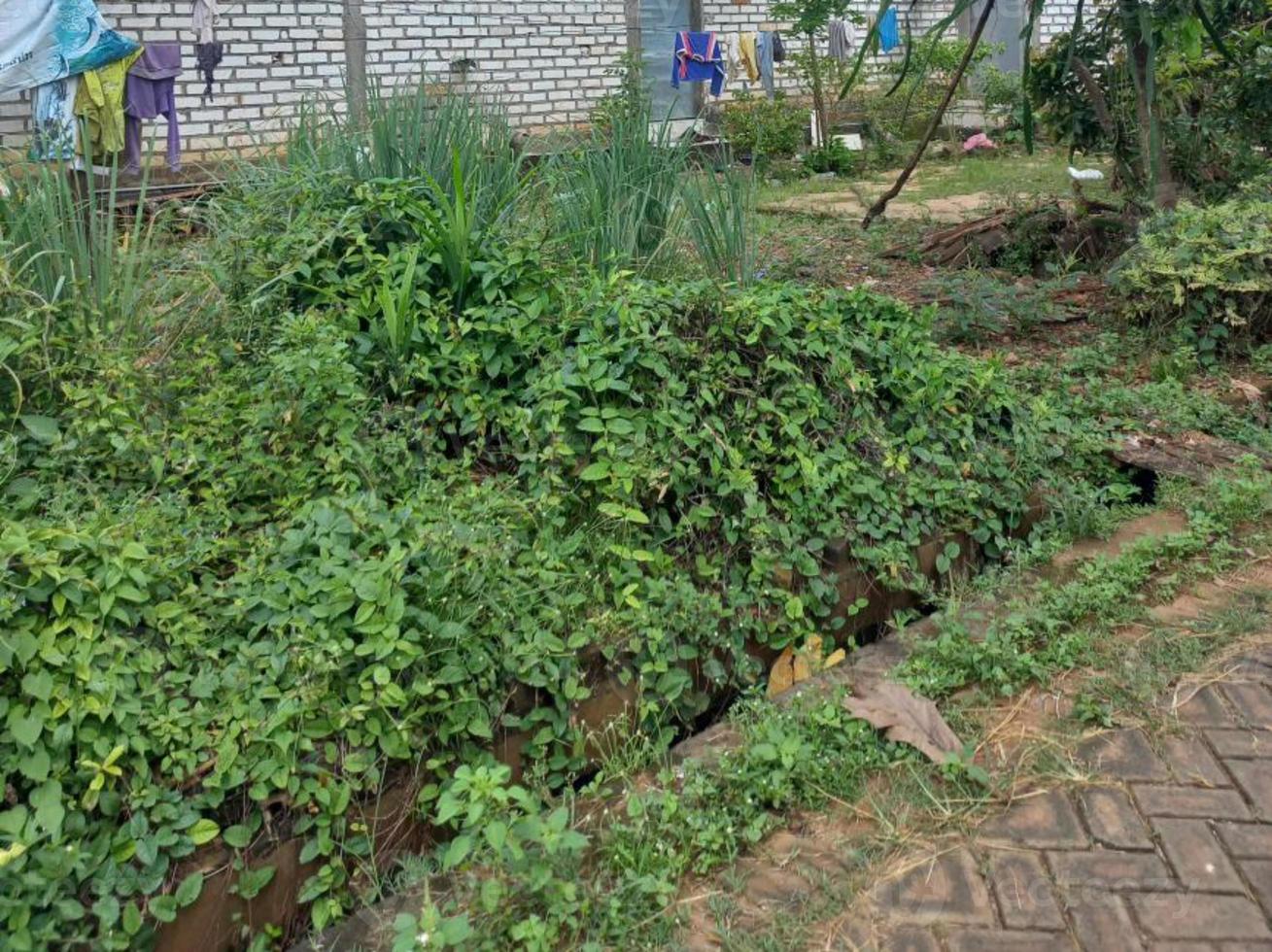 Greenery Nature Garden Ecological landscape with farm, flowers, sun, waterfall, gardening of earth day summer background photography natural images photo