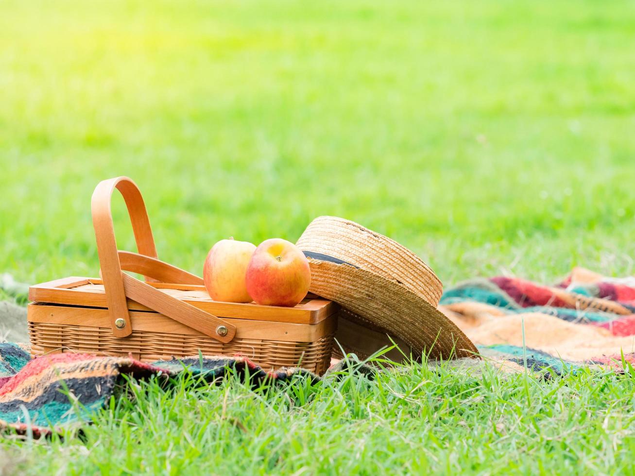 canasta de comida preparada para su relajación en el parque foto