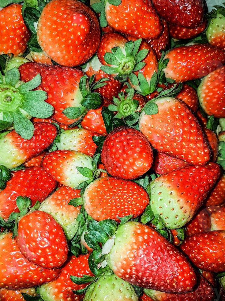 freshly picked fresh strawberries photo