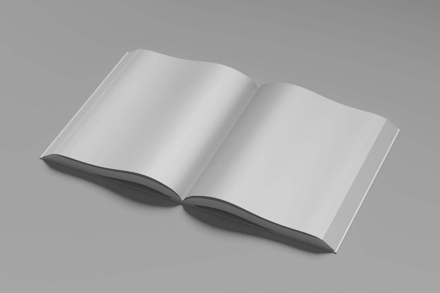 A4 book blank mockups photo