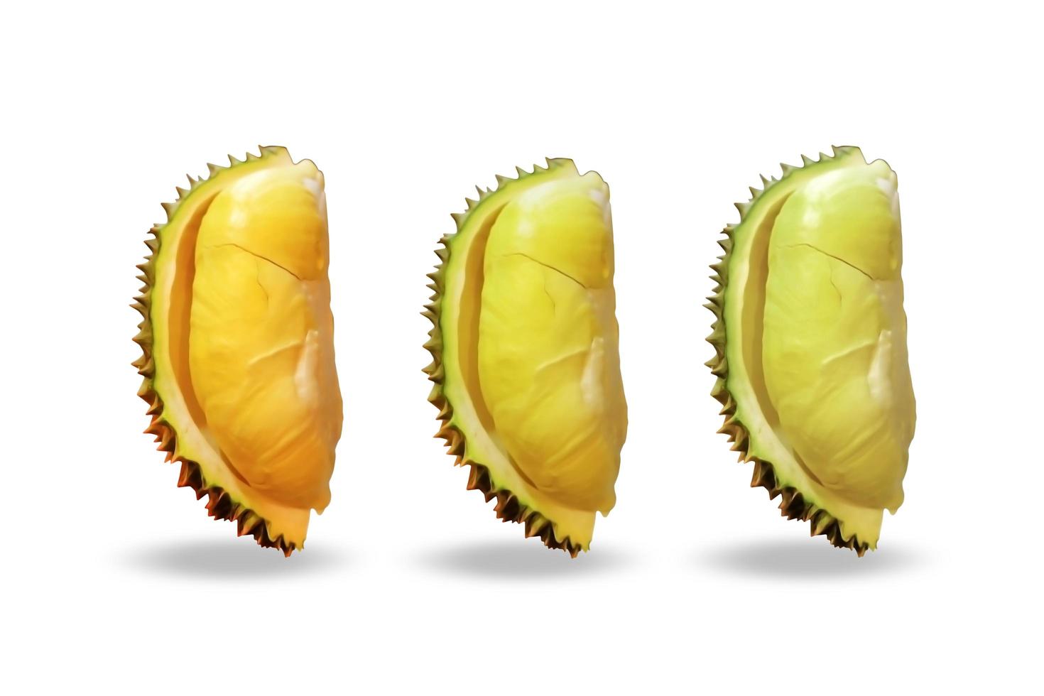 Durian Set on white background. photo