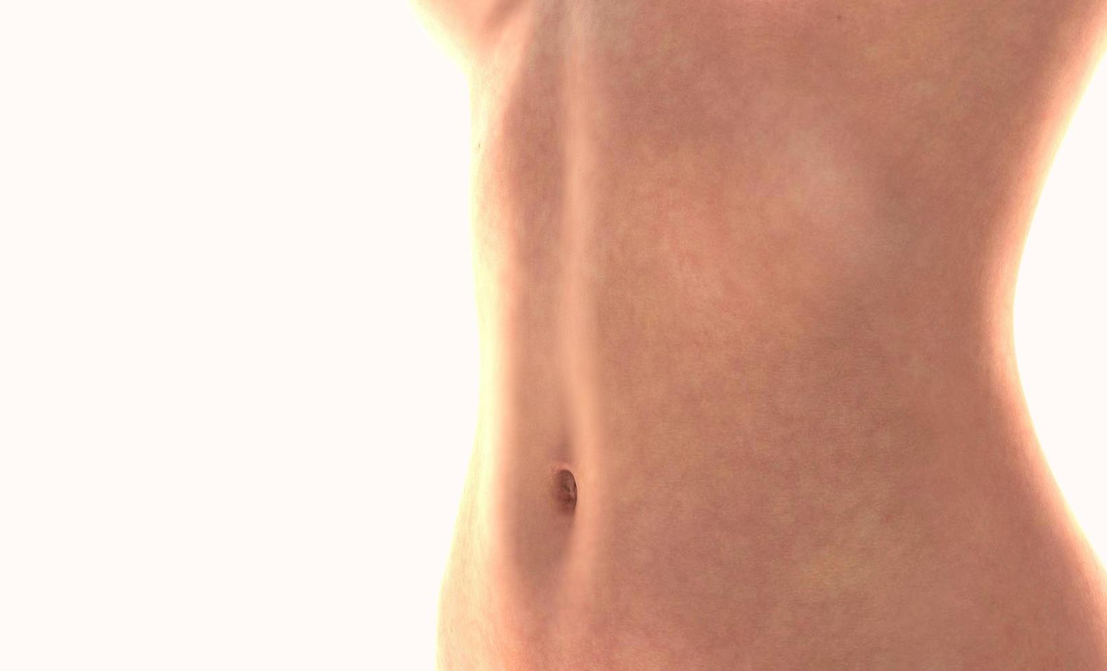 Close up of woman belly 3d render photo