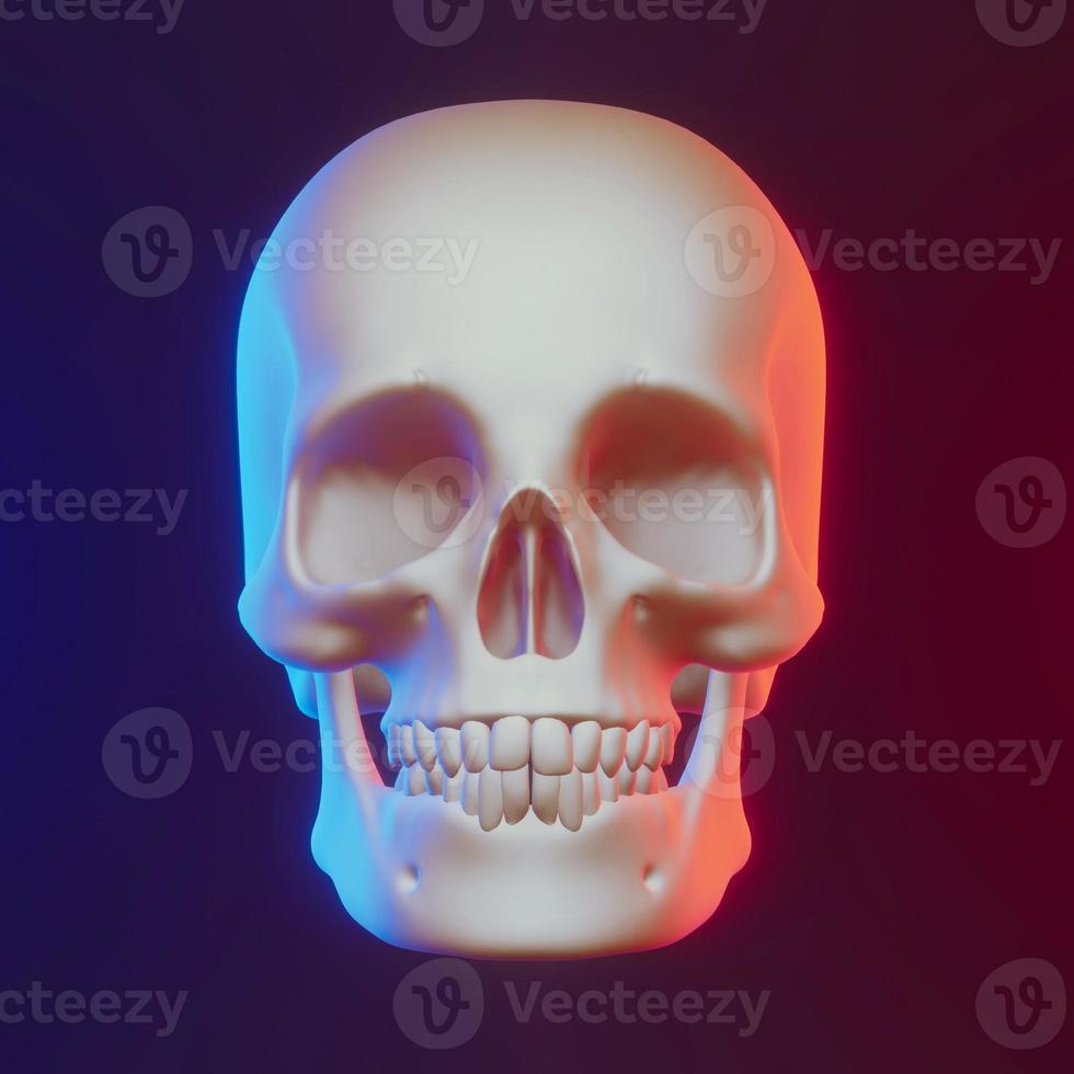 Skull with nice lighting. 3d render photo