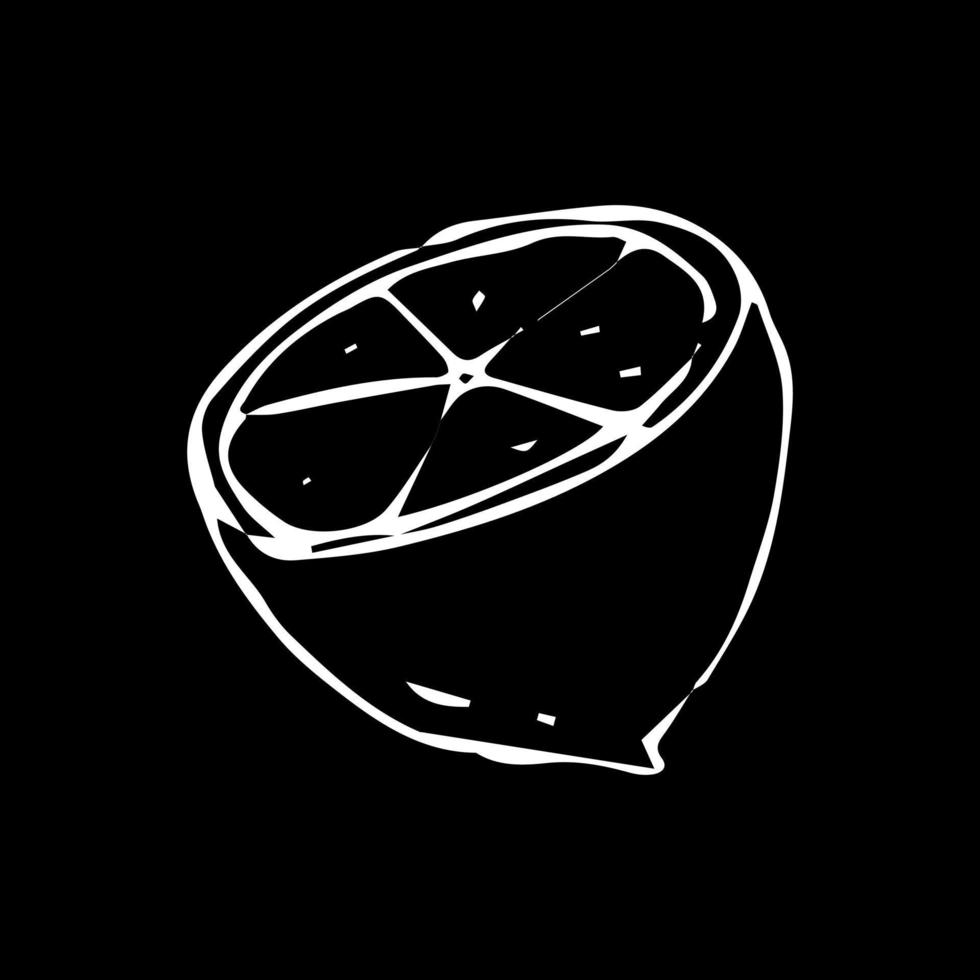 Lemon on a black background. Painted with a white brush. Black and white vector illustration