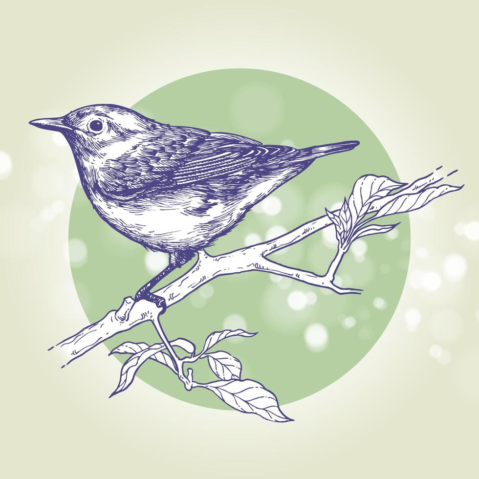 Bird perched on a branch, Ink drawing, Hand drawn illustration, Vector