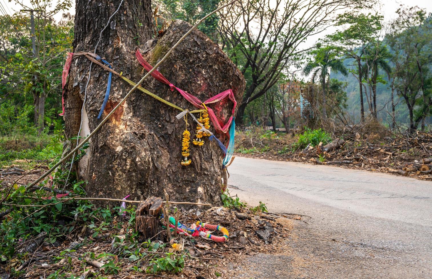 las flores y las guirnaldas son ofrendas al espíritu del árbol tailandés. Los pueblos tailandeses creen que el espíritu puede ayudarte a ganar la lotería, sanar, ayudar con un embarazo o llevarte a la muerte. foto