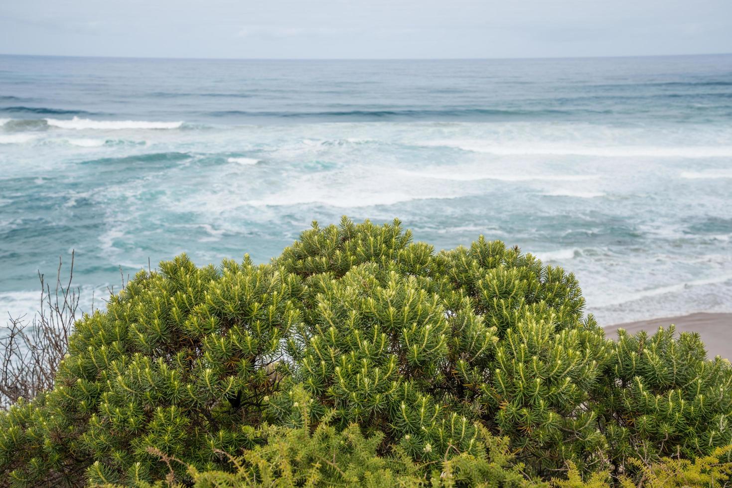 Scenery view of the ocean in the Great Ocean Road, Australia. photo