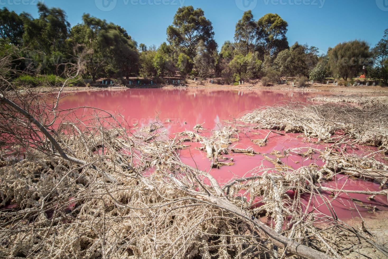 The scenery view of the Salt Pink lake at West gate park in Melbourne, Victoria state of Australia. photo