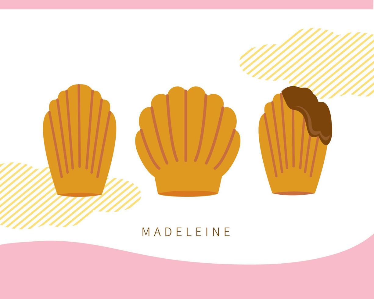 conjunto de material de madeleine de postre tradicional clásico francés vector