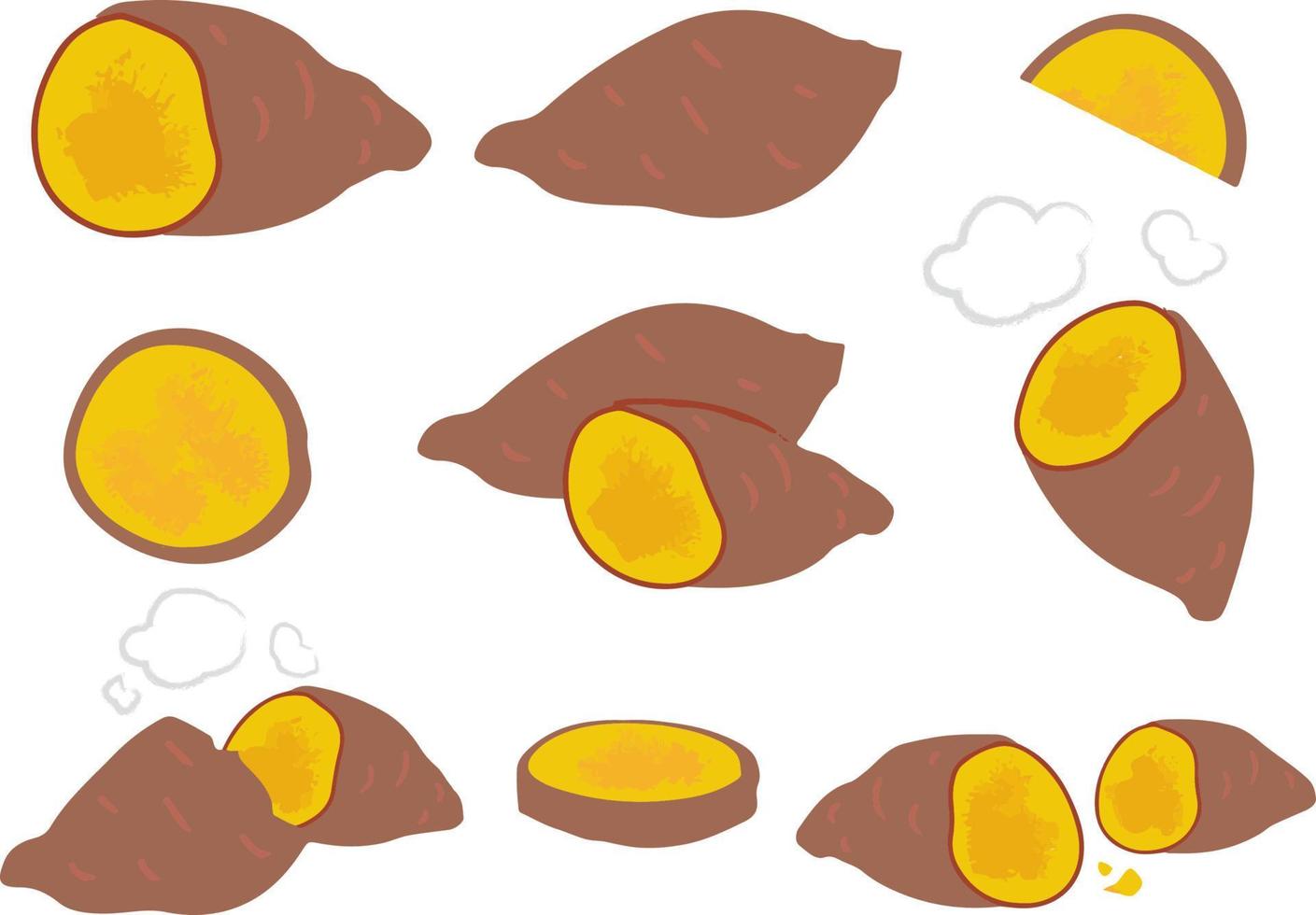 Sweet potato, brown whole tuber and sliced. Vector illustration cartoon flat icon isolated on pink.