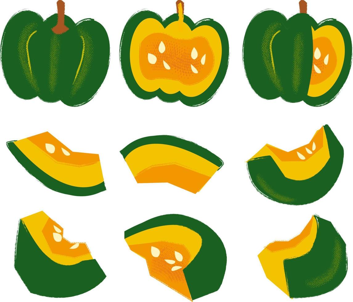 conjunto de calabazas dibujadas a mano. colección de otoño. diferentes tipos de calabazas, mitades y enteros, pastel de calabaza. vector