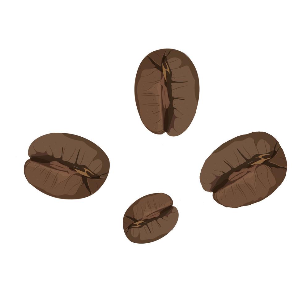 Roasted coffee beans isolated on white background. Vector