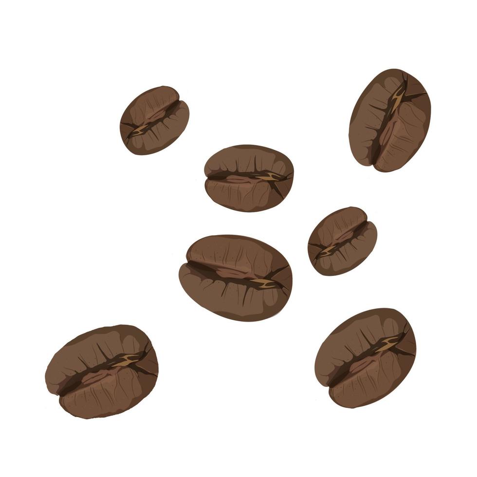 Roasted coffee beans isolated on white background. Vector