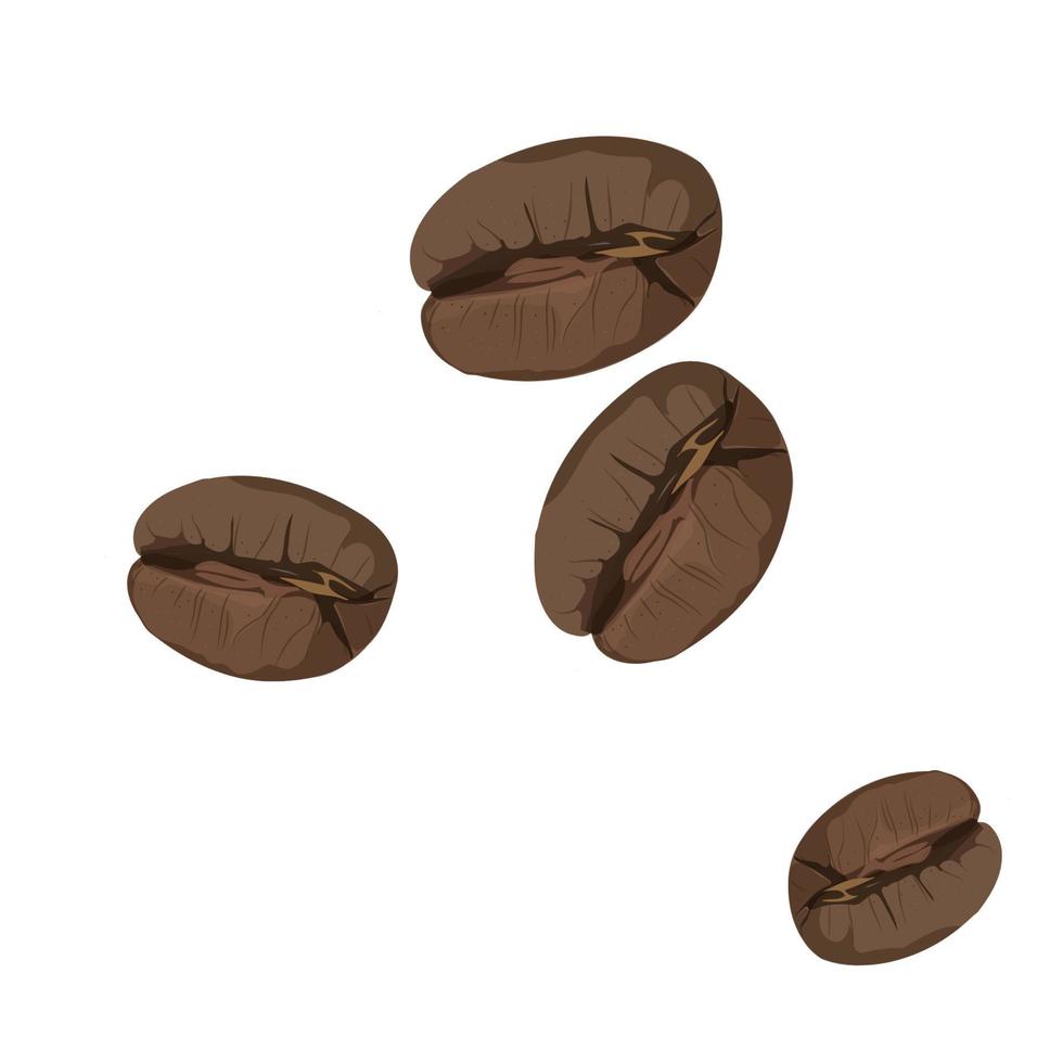 Roasted coffee beans isolated on white background. Vector