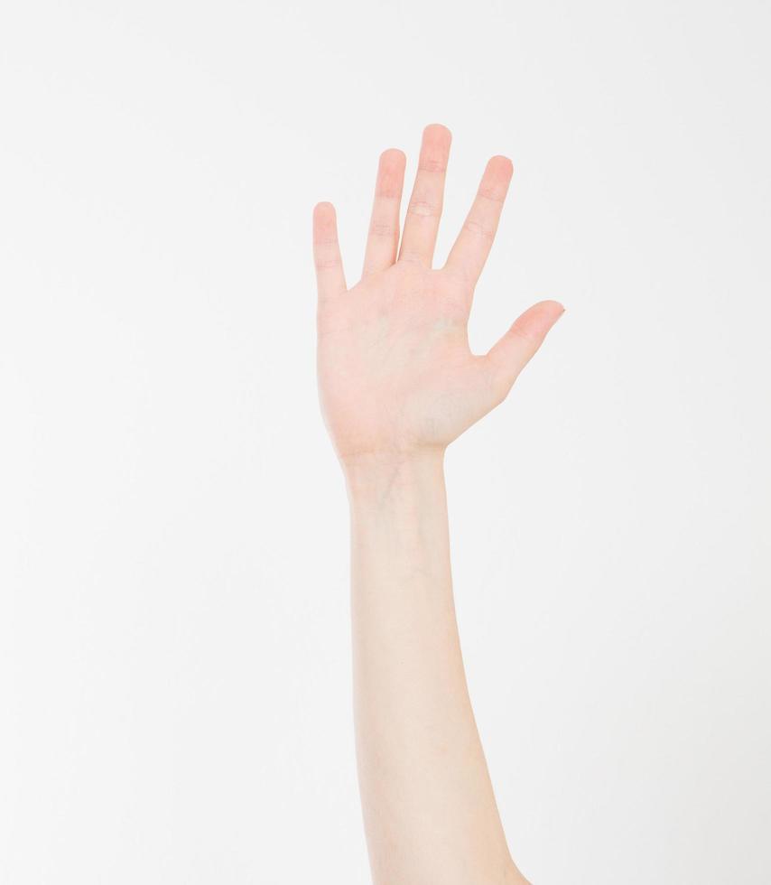 hand isolated on white.Voting hand. Mock up. Copy space. Template. Blank. photo