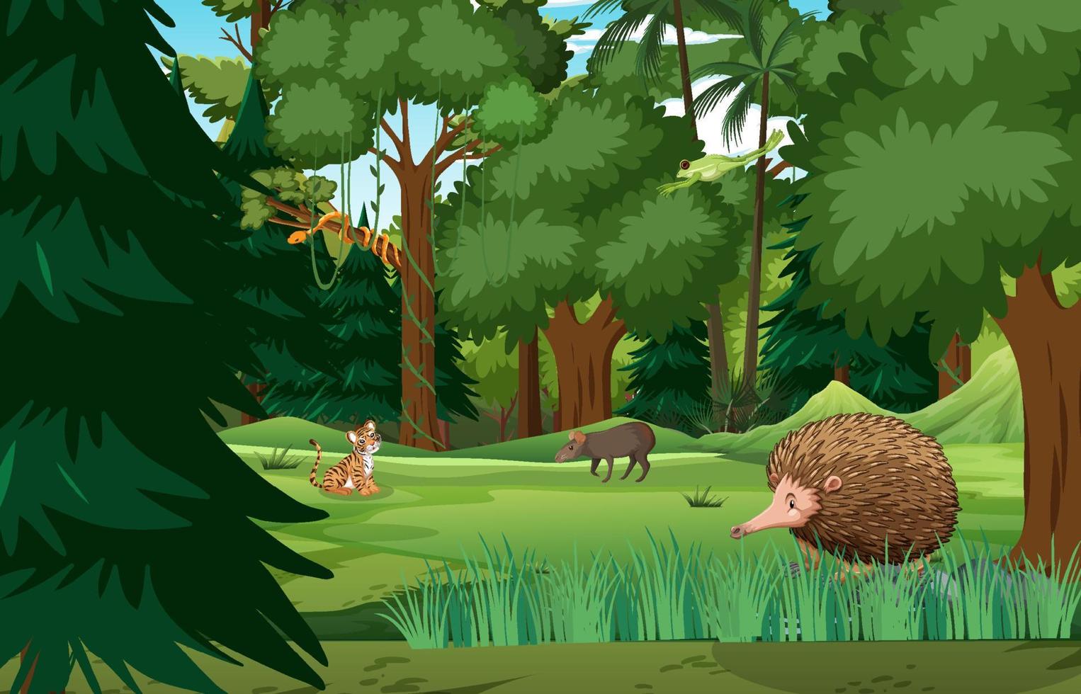 Forest scene with wild animals vector