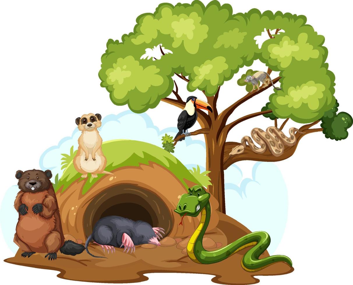 Various wild animals with burrow on white background vector