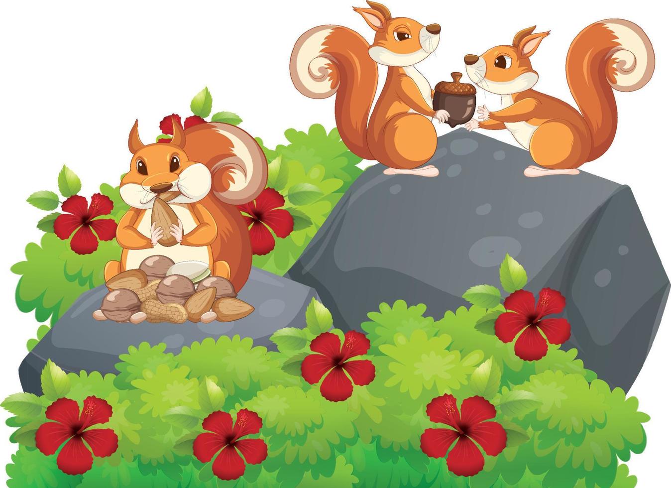 Cute squirrel animal cartoon vector