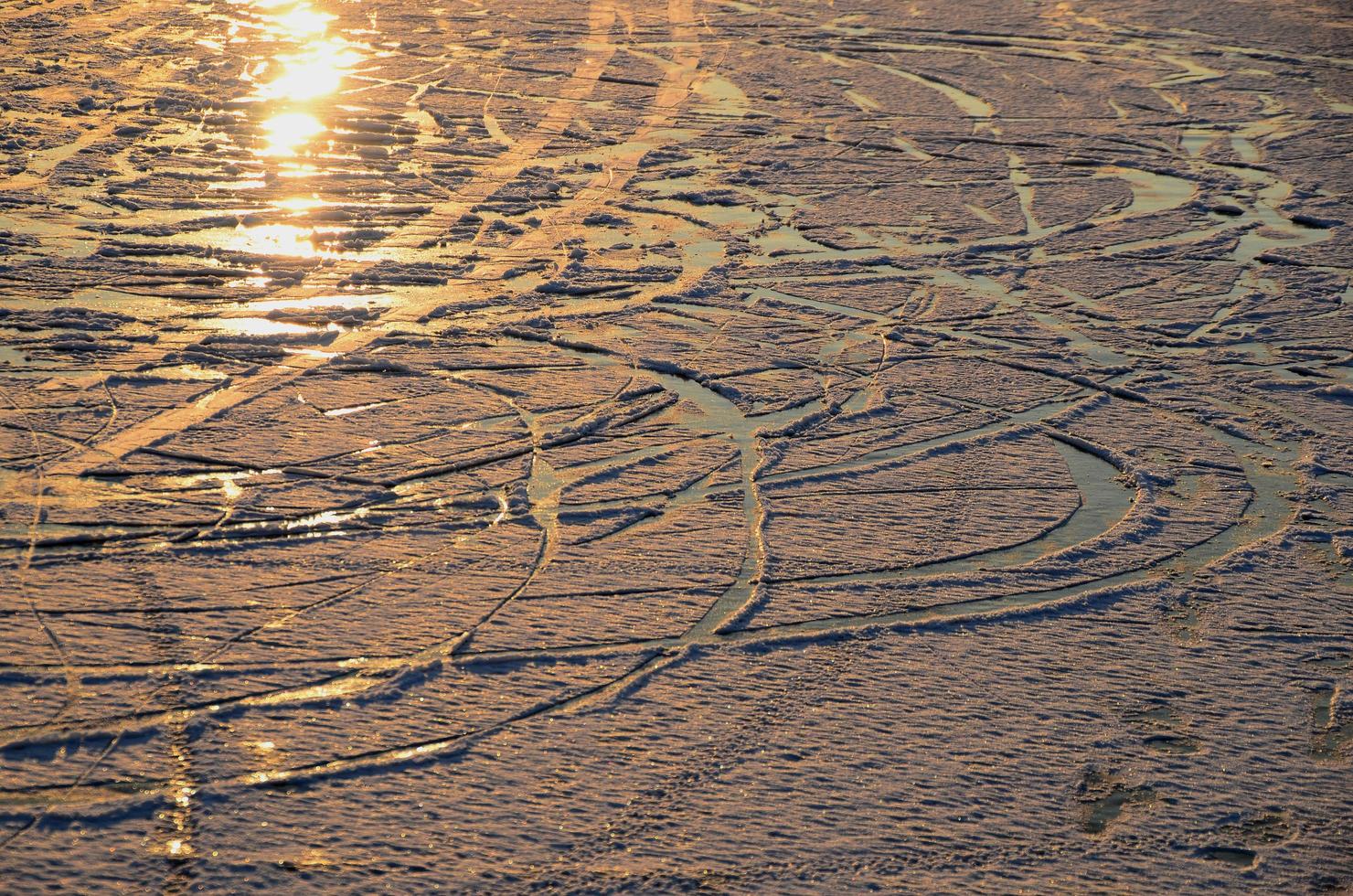 traces in the ice and snow photo